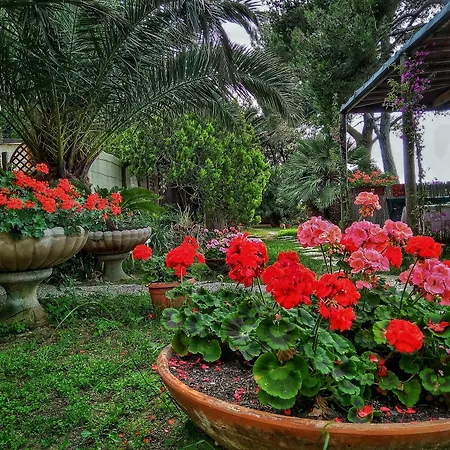 Hotel Villino Sabiana 3*